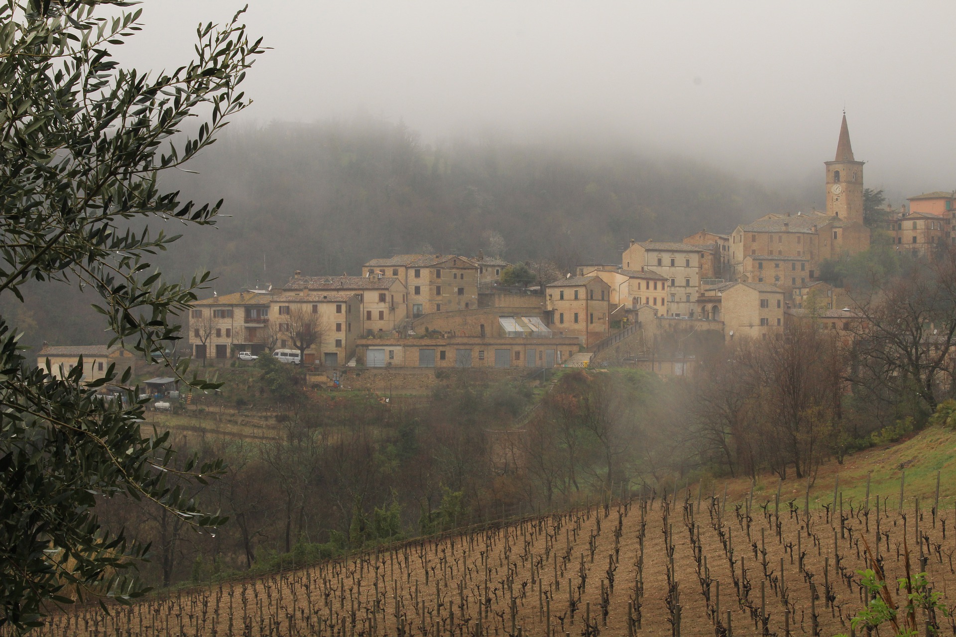 Agriturismo Nelle Marche